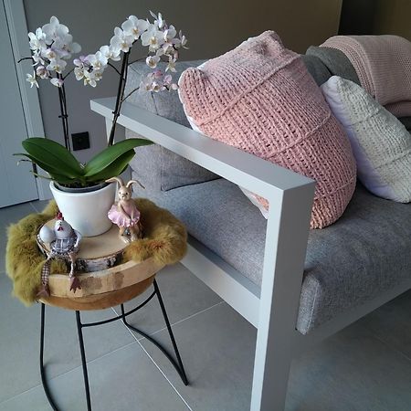 Boekhout Vakantiewoning Mierzicht Met Prive Wellness Haspengouw מראה חיצוני תמונה