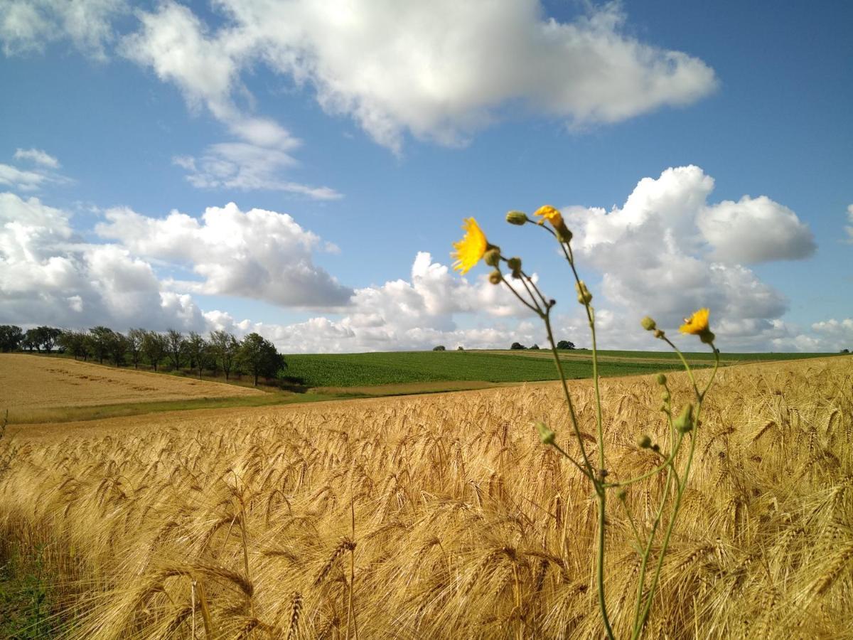 Boekhout Vakantiewoning Mierzicht Met Prive Wellness Haspengouw מראה חיצוני תמונה