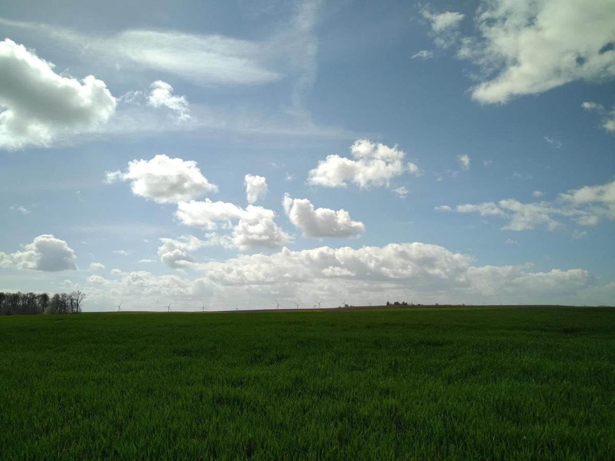 Boekhout Vakantiewoning Mierzicht Met Prive Wellness Haspengouw מראה חיצוני תמונה