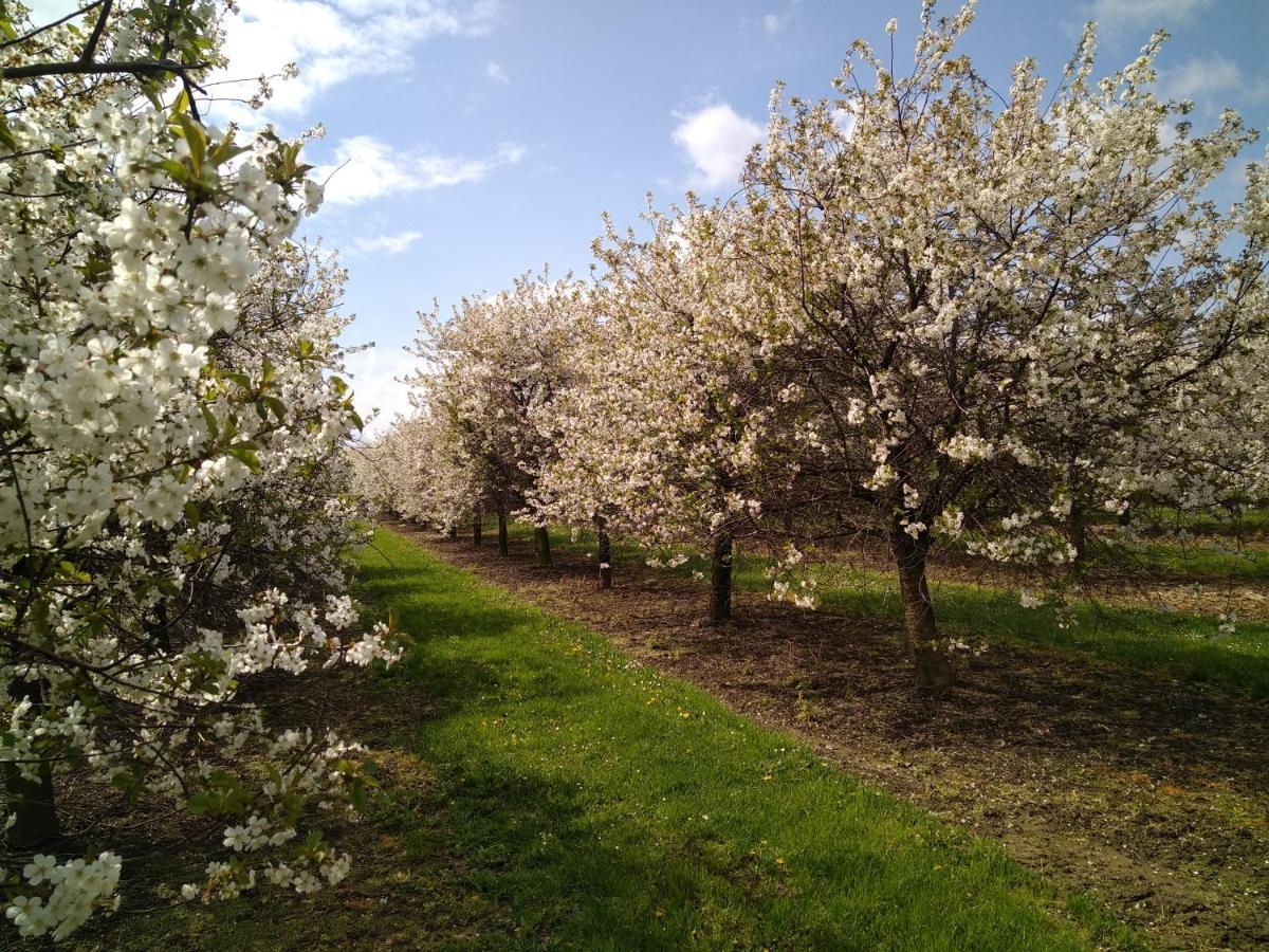 Boekhout Vakantiewoning Mierzicht Met Prive Wellness Haspengouw מראה חיצוני תמונה